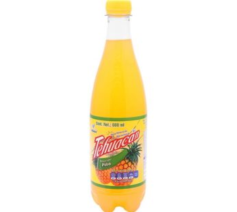 Tehuacan Brillante Pina 600ML